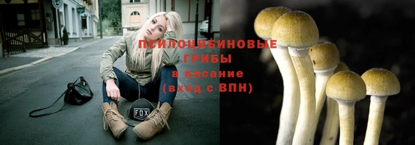 первитин Рославль