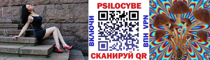 Псилоцибиновые грибы Cubensis  Калининец 